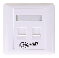 Giganet Cat6 2-port double faceplate