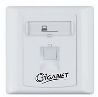 Giganet Cat6A single faceplate